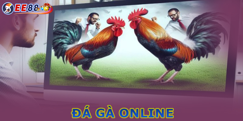 Những bí kíp chơi Đá gà online ở EE88