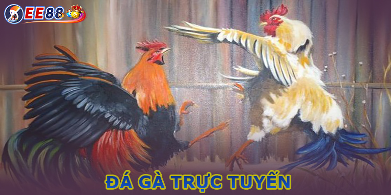 Kỹ năng cá cược đá gà trực tuyến cần biết