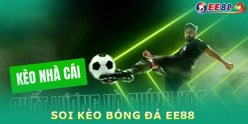 Top 5 mẹo soi kèo bóng đá hiệu quả cùng nhà cái EE88