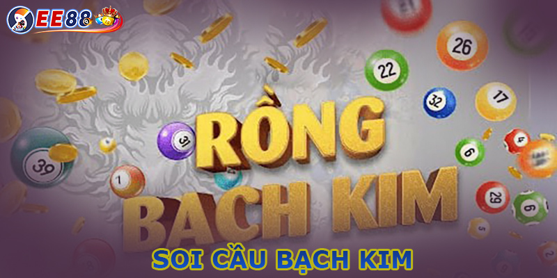 EE88 giới thiệu soi cầu bạch kim